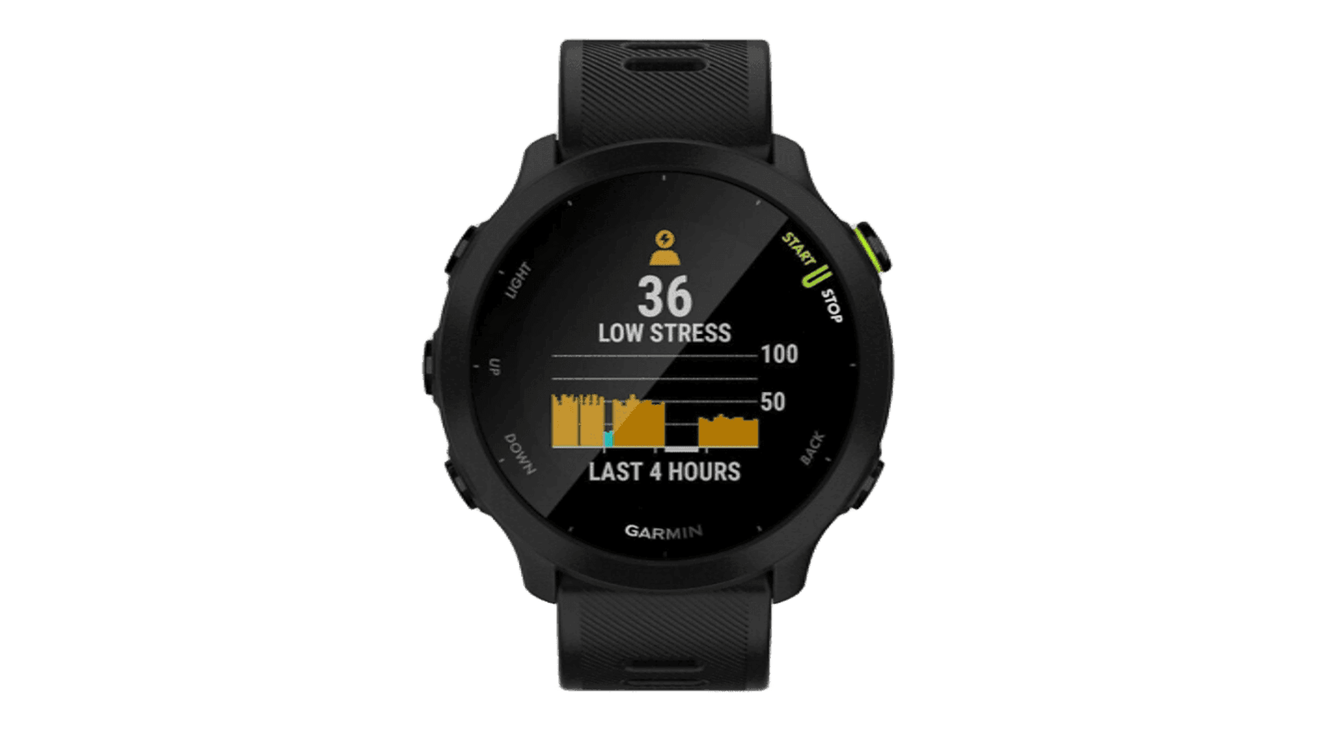 Garmin FORERUNNER 55 42 mm, Black Case, Silicon Band Black — фото 2
