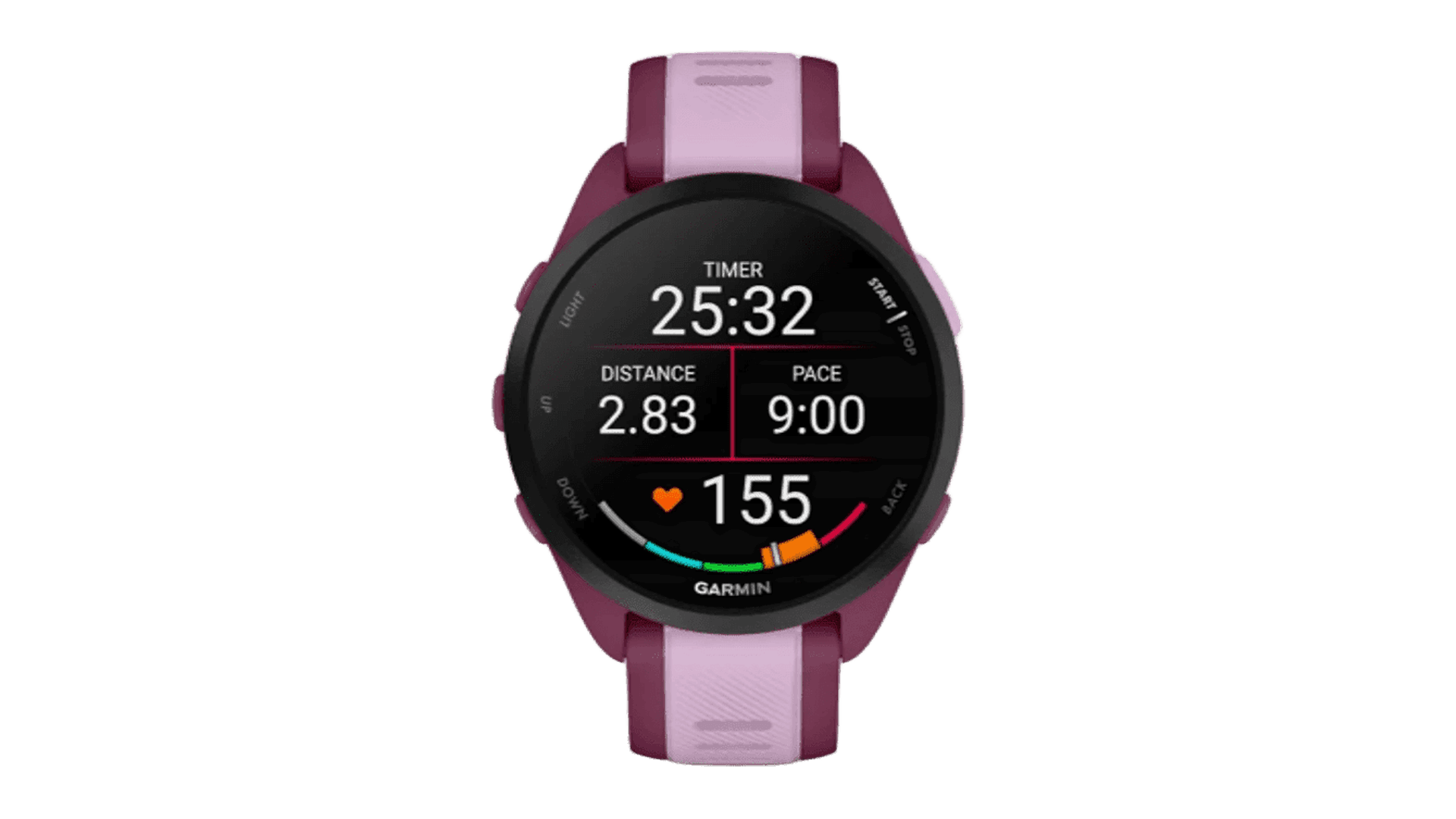 Garmin FORERUNNER 165 Music 43 mm, Lilac Case, Silicon Berry Band — фото 2