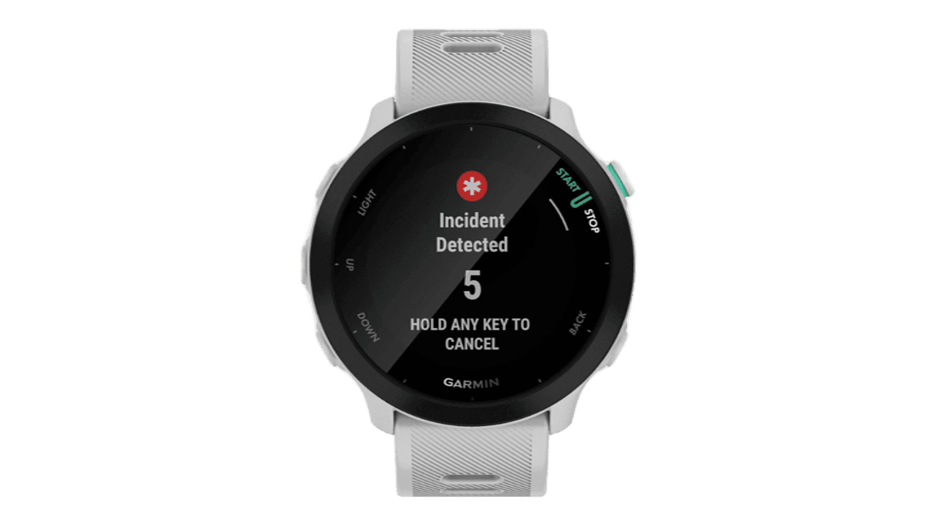 Garmin FORERUNNER 55 42 mm, White Case, Silicon Band White — фото 2