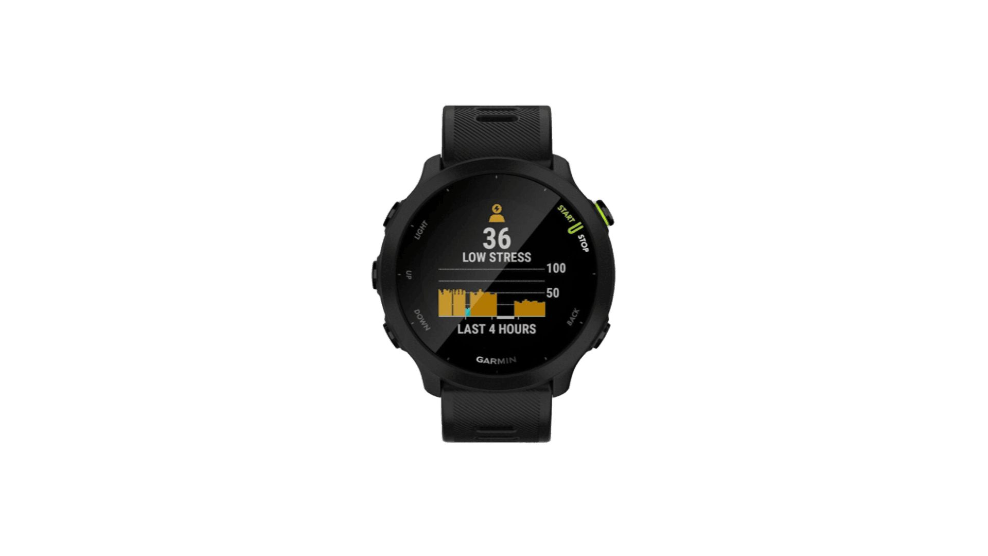 Garmin FORERUNNER 55 42 mm, Black Case, Silicon Band Black — фото 2