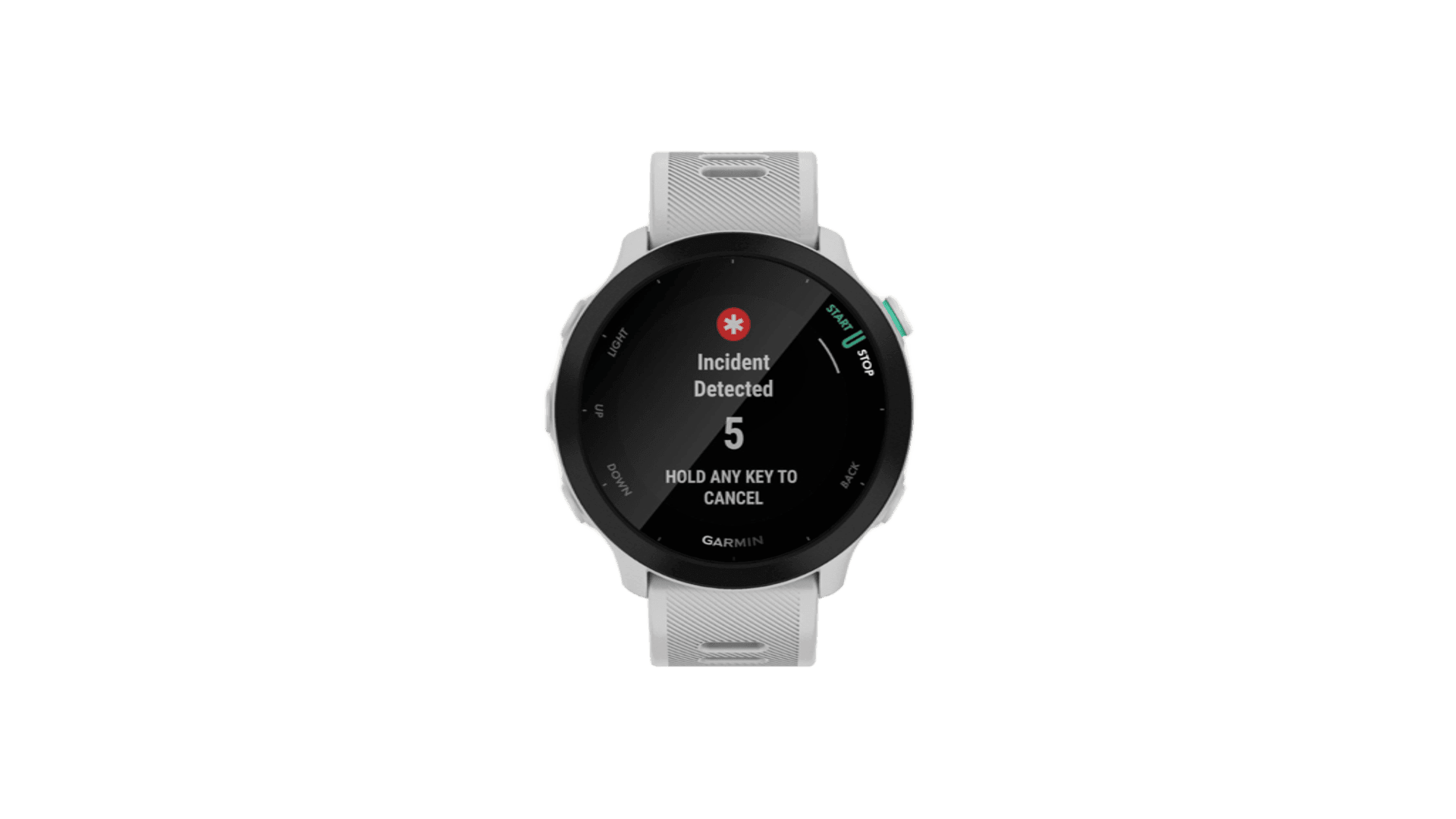 Garmin FORERUNNER 55 42 mm, White Case, Silicon Band White — фото 2